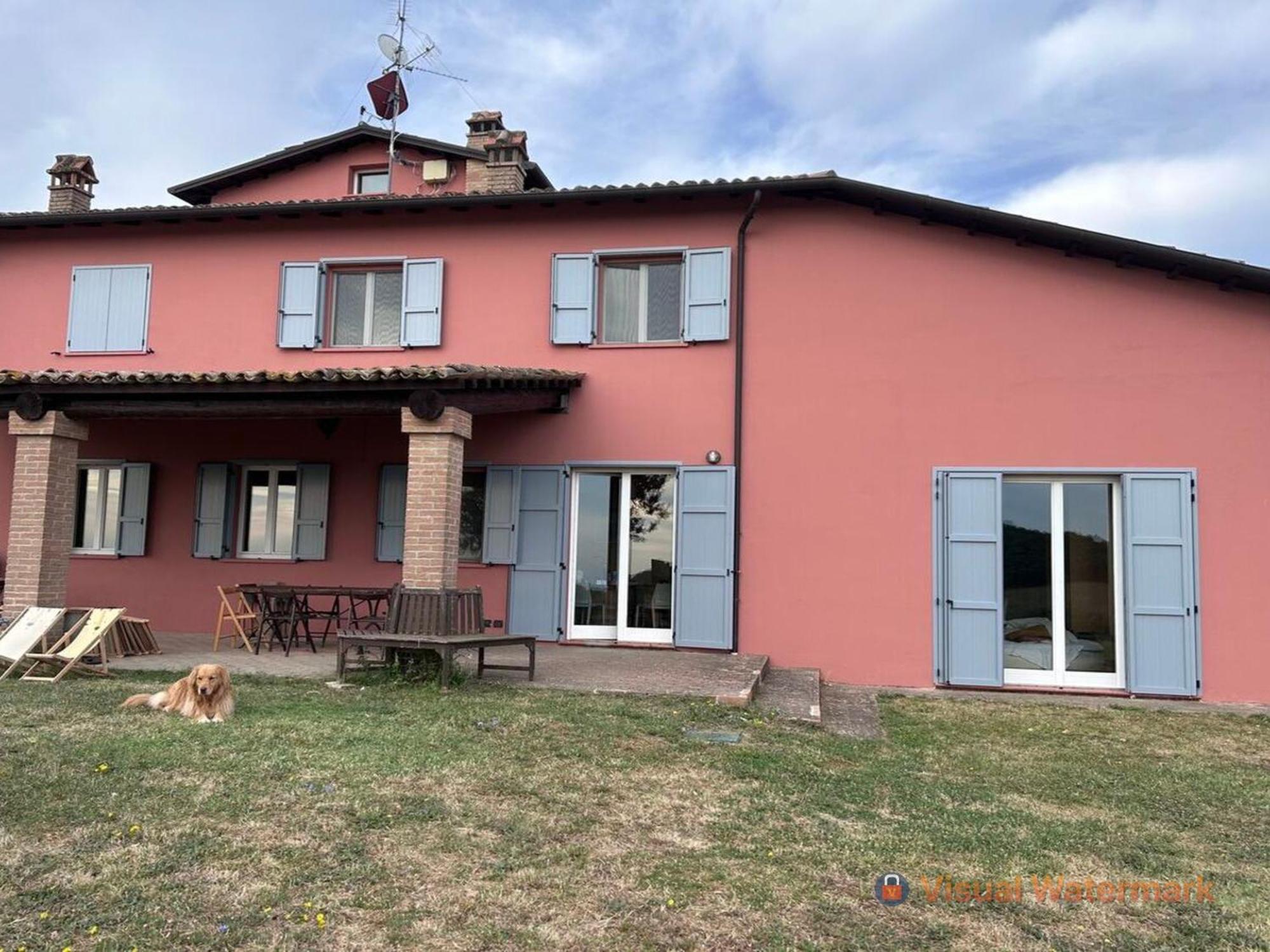 Paradiso Sulle Colline Parmensi Medesano Exteriér fotografie